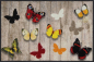 Preview: Finolino